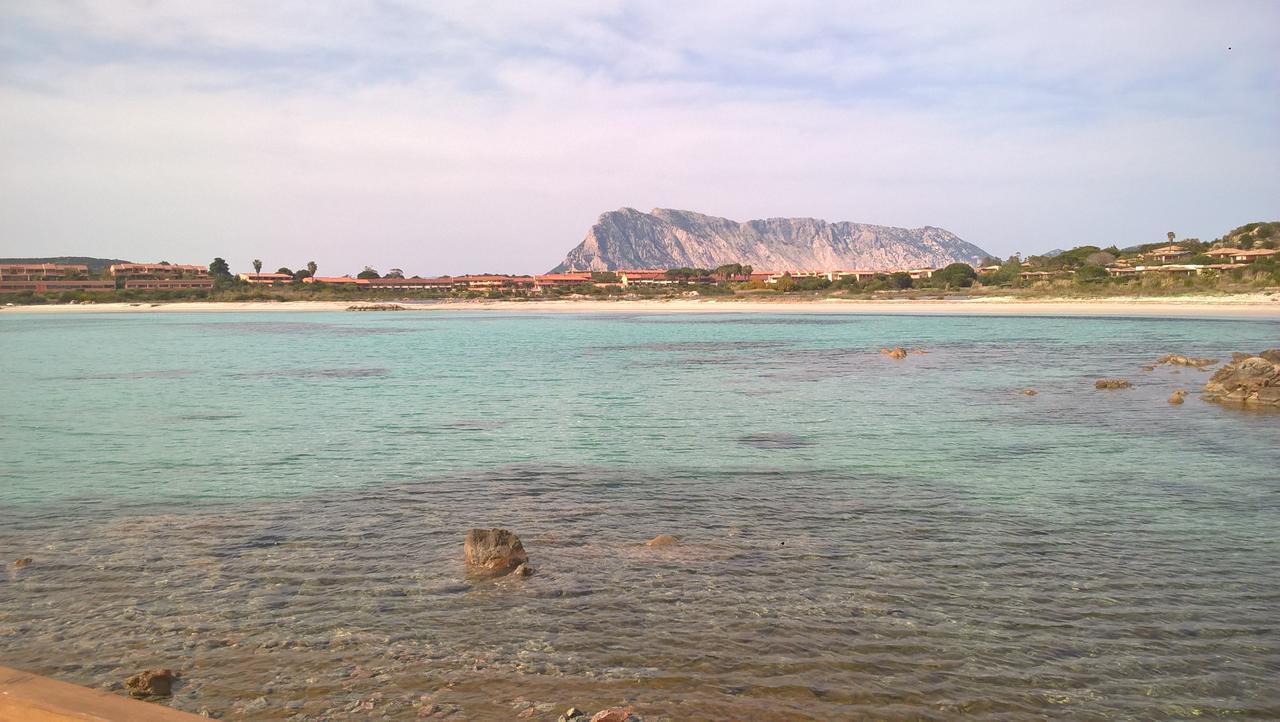 Residence Porto Coda Cavallo ซาน เตโอโดโร ภายนอก รูปภาพ