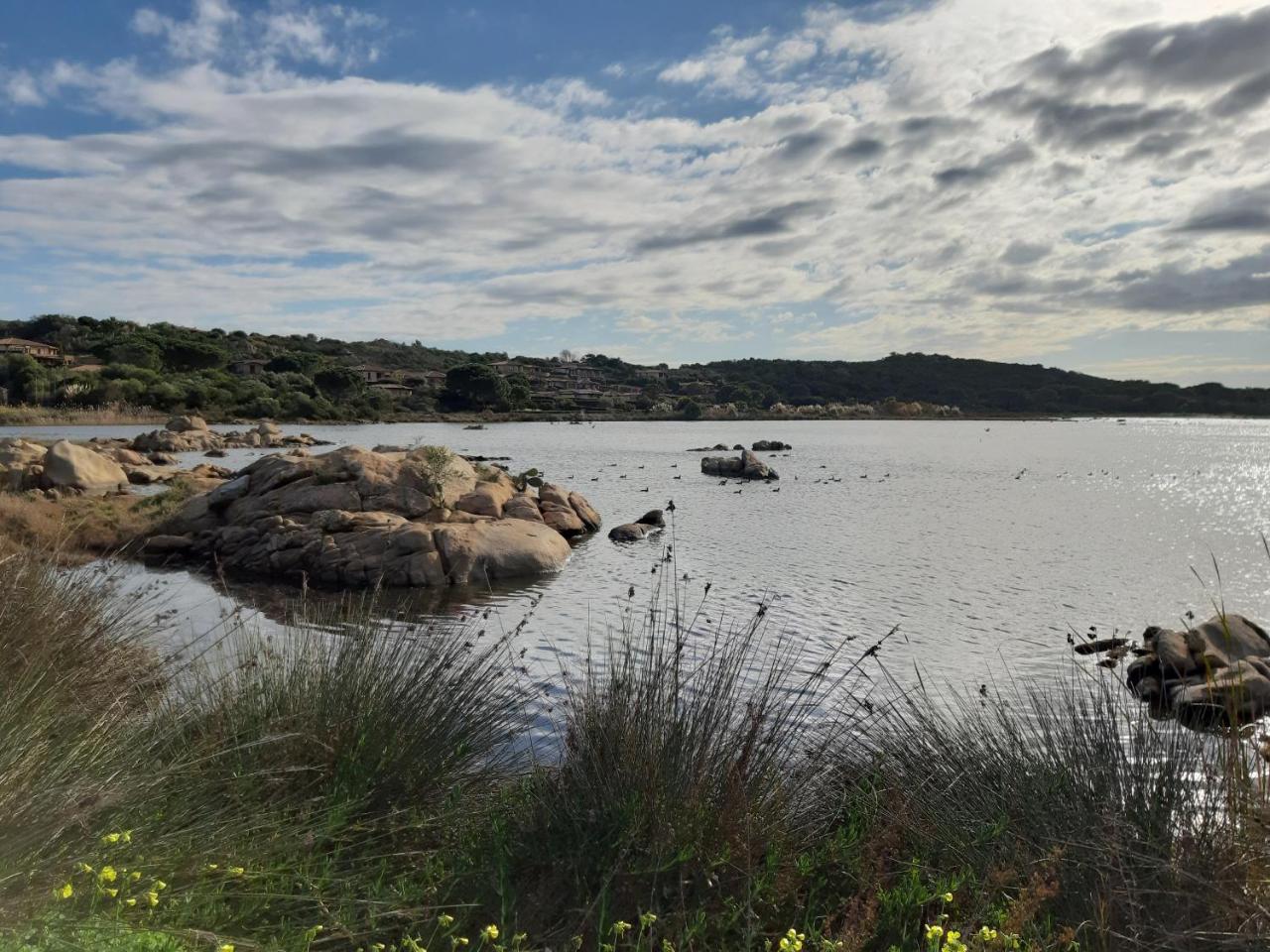 Residence Porto Coda Cavallo ซาน เตโอโดโร ภายนอก รูปภาพ
